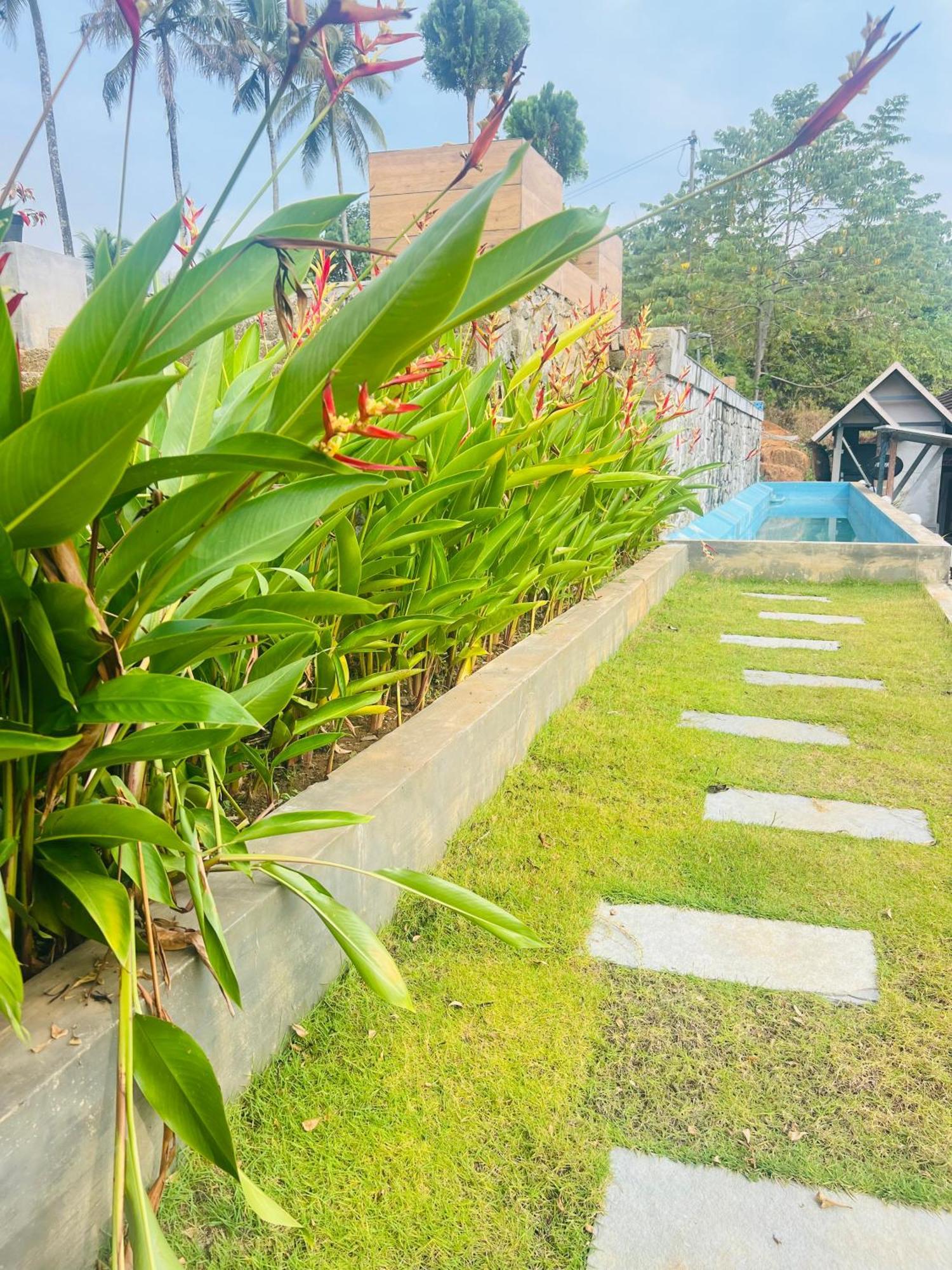 Coconut Valley Neriyamangalam Eksteriør billede